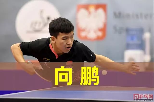 生涯的末期 生涯的末期