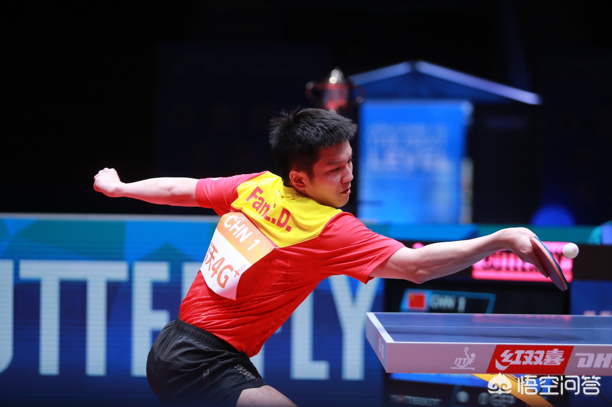 极其昂贵 极其昂贵